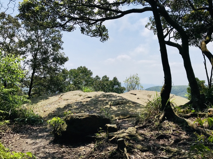 【離線地圖教學】『健行筆記任務』台北大蹤走第三後+四段（擎天崗>風櫃嘴>捷運大湖公園站）撿寶拿證書趣|台北市景點|104高年級